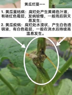 技術(shù)咨詢(xún)